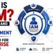 What is IAM