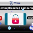 Gemini Breached companies