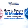 How to secure AI Models