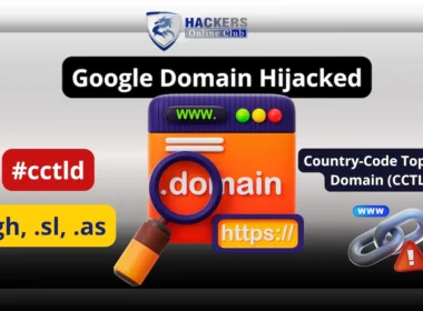Google Domains Hijacked